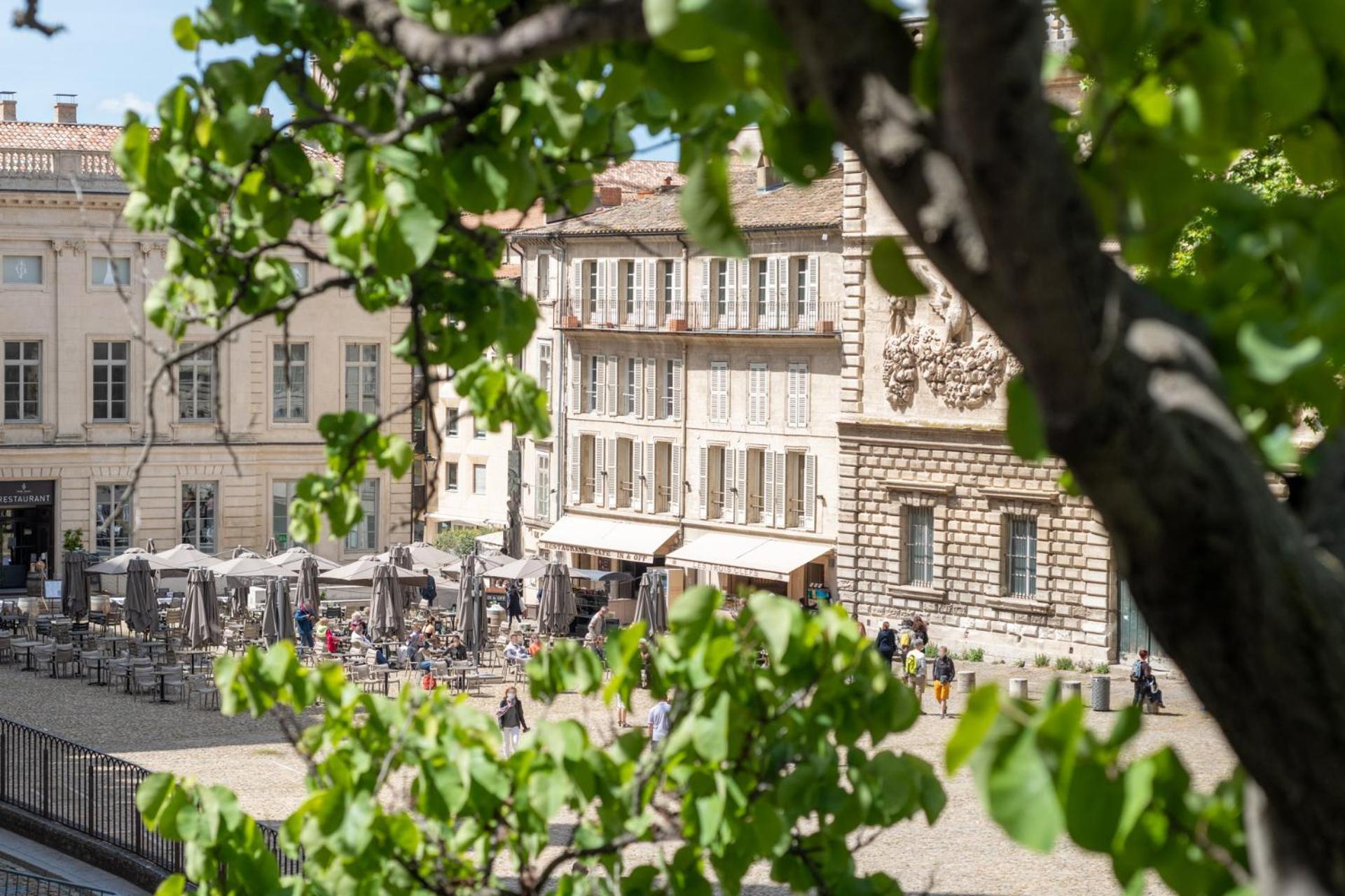 Bien D'Exception En Face Du Palais Des Papes Leilighet Avignon Eksteriør bilde